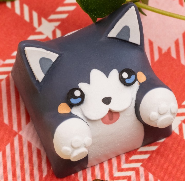 Hello Caps - Kibbles Bongo Cat v2