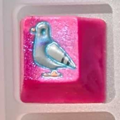 Level caps - Neon Pink Sky Rat