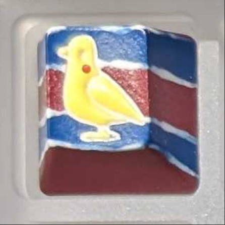 Level caps - Chris Chan Sky Rat