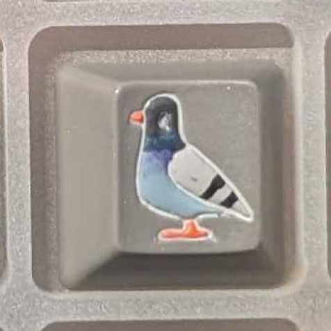 Level caps - Plain Gray (Light) Sky Rat