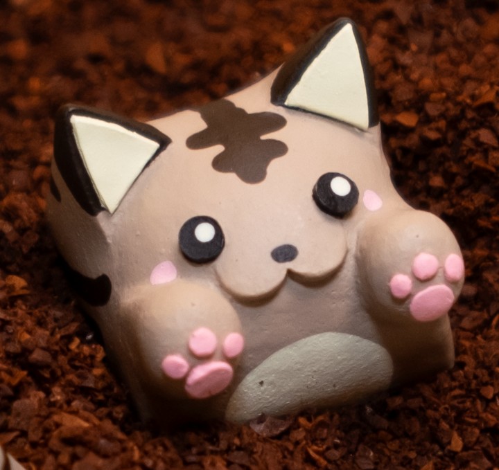 Hello Caps - Mocha Bongo Cat v2