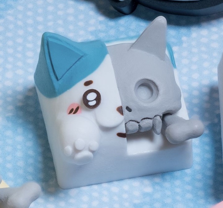 Hello Caps - Best-friend Schrodinger